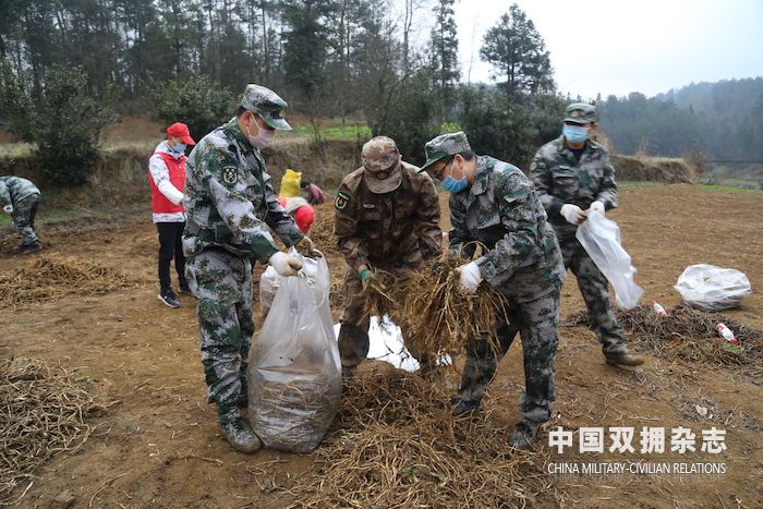 乌当民兵助力保障当地菜篮子1的副本.jpg