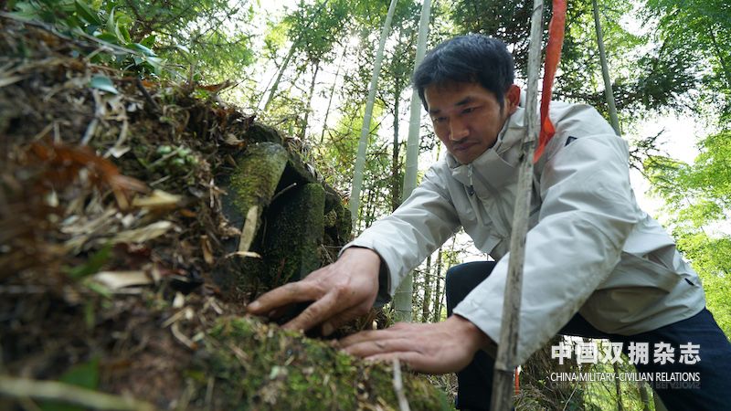 红军潘骥的后人潘迪渊经历了几十年寻觅，最终将一抔土当做祖父的遗骨带回江西。 龙涛 摄.JPG